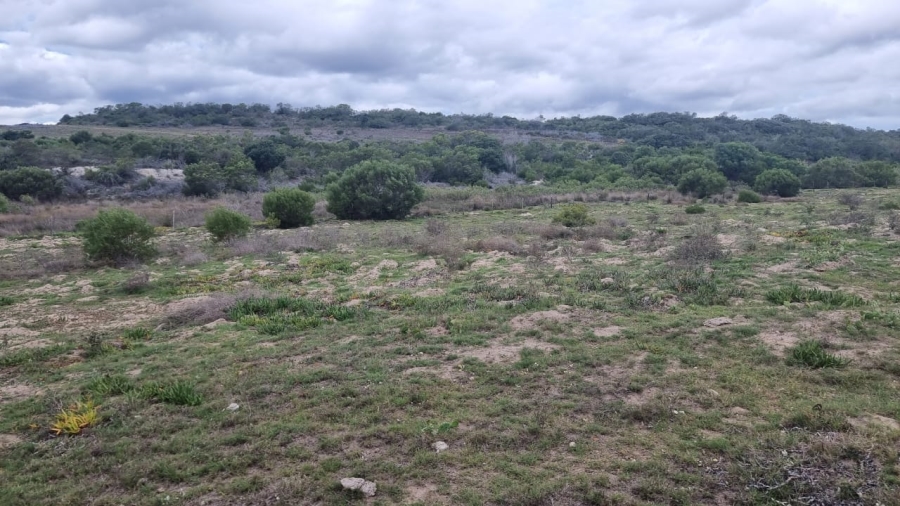 3 Bedroom Property for Sale in Albertinia Western Cape